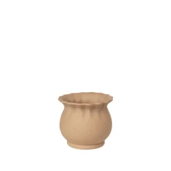 Alexa Flowerpot