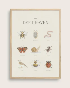 Animals In The Garden