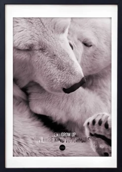 Baby Polar Bear Colour