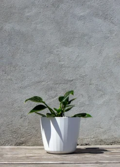 Berta Flowerpot