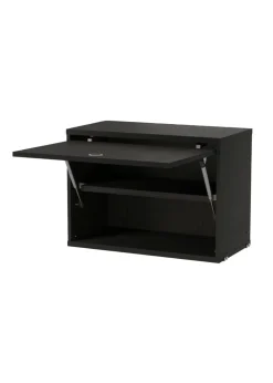 Cabinet With Flip Doors