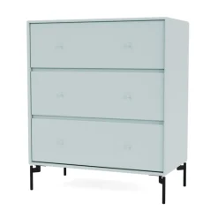 CARRY - With black legs