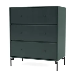 CARRY - With black legs