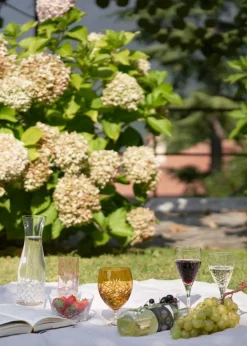 Crispy White - 2 pcs