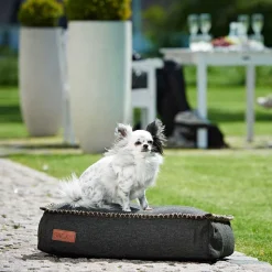 Dog Bed Mini