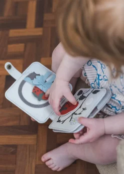 Ely Felt Activity Book