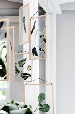 Floating Leaves - A5