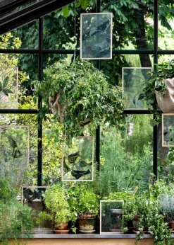 Floating Leaves - A5