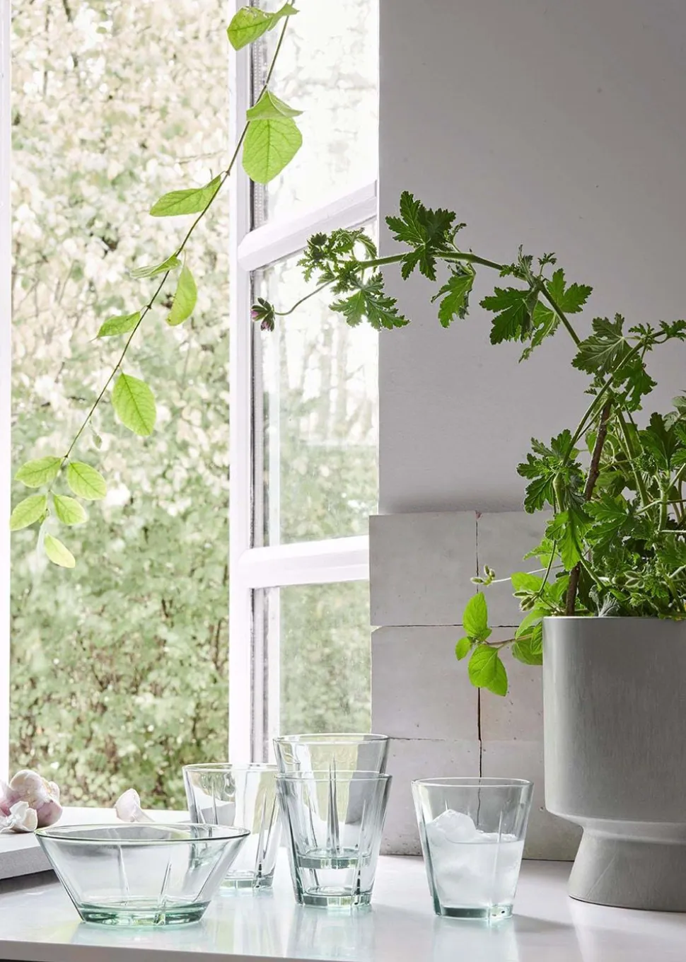 Grand Cru Recycled / Glass Bowl