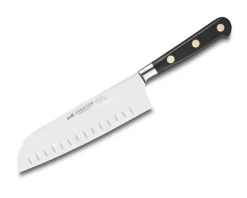 Lion Sabatier Ideal Knife Series