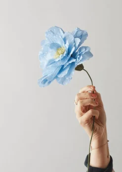 Paper Flower, Grand Peony