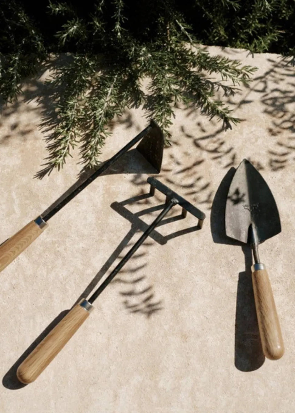 Plant Tools, Set of three