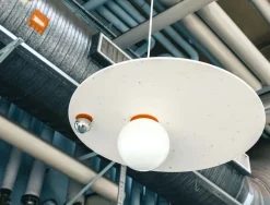 PLUTO BIG Alba White