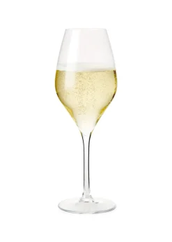 Premium Champagne Glass