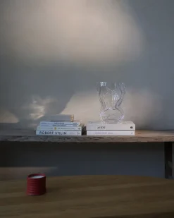 Reflection Vase