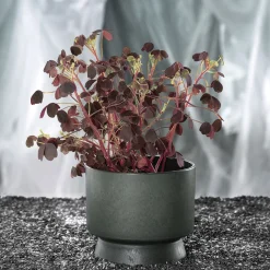 Rosendahl Flower Pot