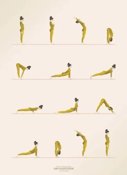 Sun Salutation