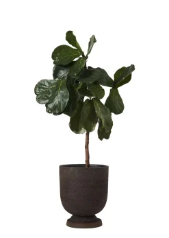 Terra Flowerpot Saucer