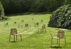 Vig Armchair Robinia