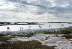 Vig Armchair Robinia