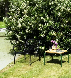 Vig Table Robinia